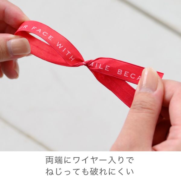 レターワイヤータイ-2 レッド(100本) ヘッズ