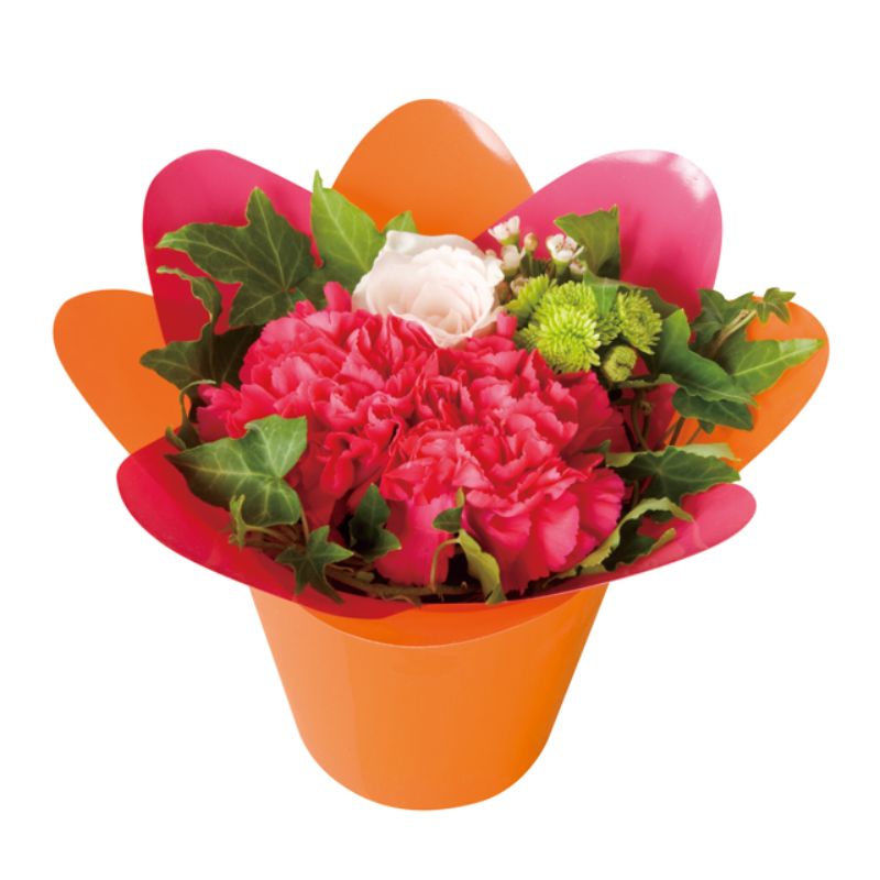 花型ポット レッド-3(20個) ヘッズ