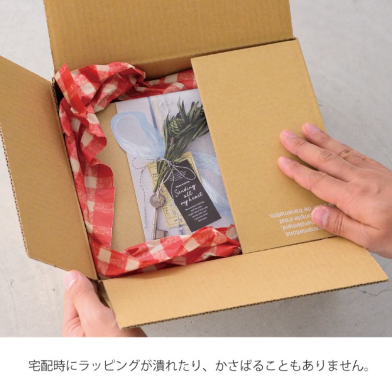 贈答用飾り 掛ケ紙 フォトプリント-5(30枚) ヘッズ