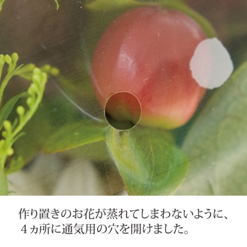 迎春OPPパック-3(50枚) ヘッズ