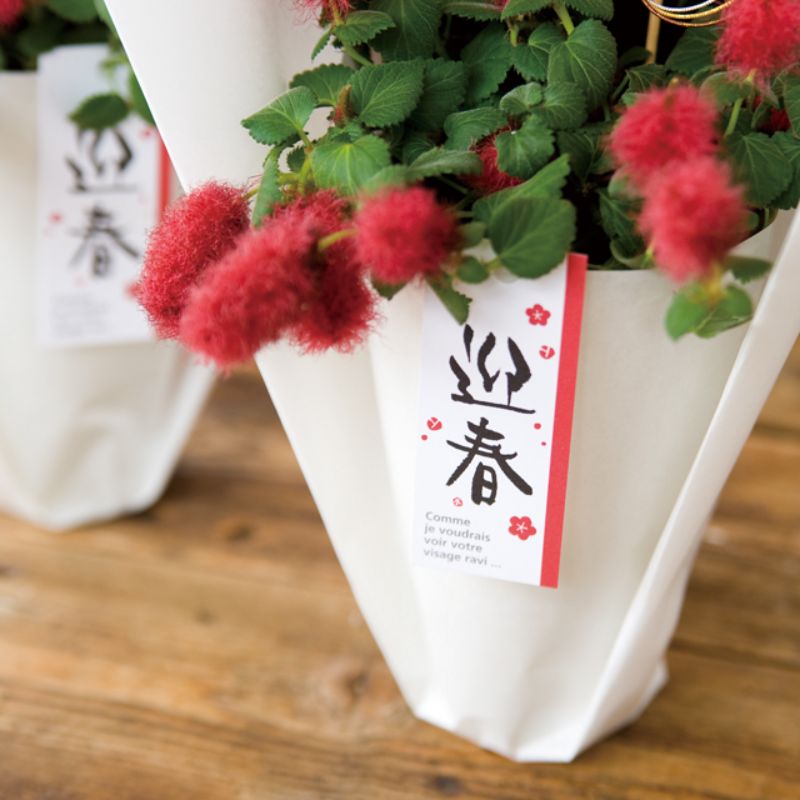 贈答用飾り 迎春タッグ-1(50枚) ヘッズ