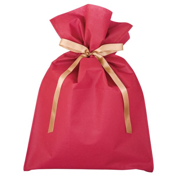 不織布袋 不織布リボン付バッグエンジ-L(10枚) ヘッズ