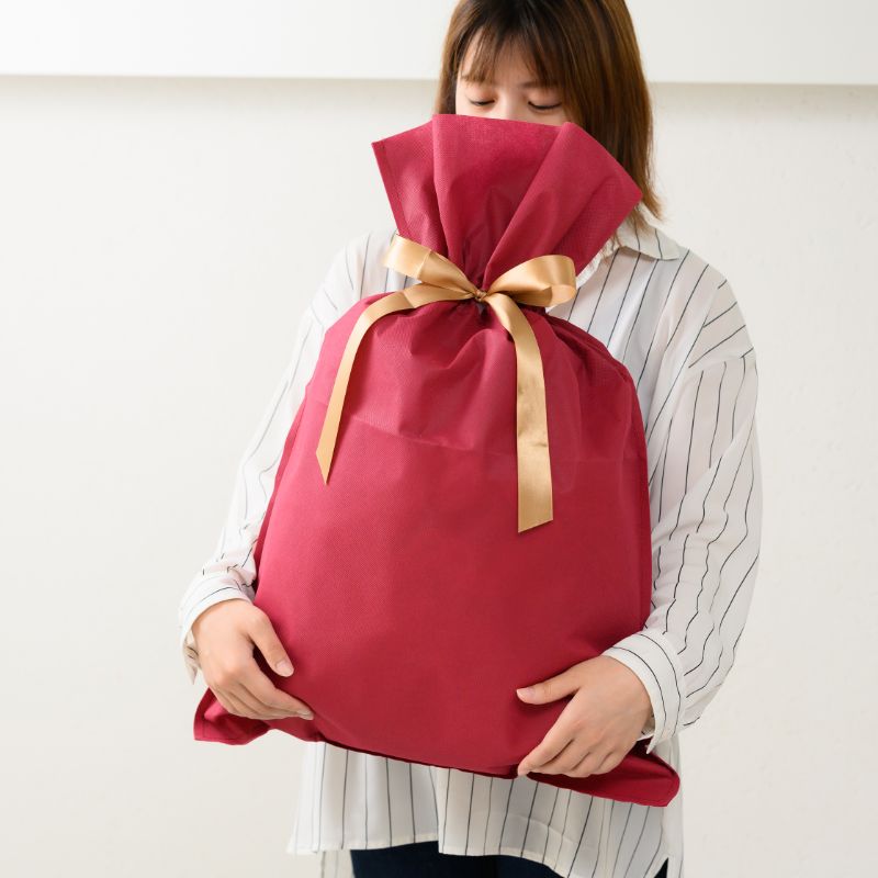 不織布袋 不織布リボン付バッグエンジ-L(10枚) ヘッズ