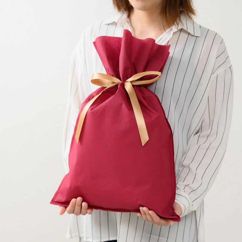 不織布袋 不織布リボン付バッグエンジ-M(10枚) ヘッズ