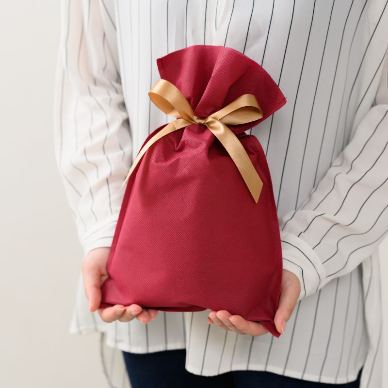 不織布袋 不織布リボン付バッグエンジ-S(10枚) ヘッズ