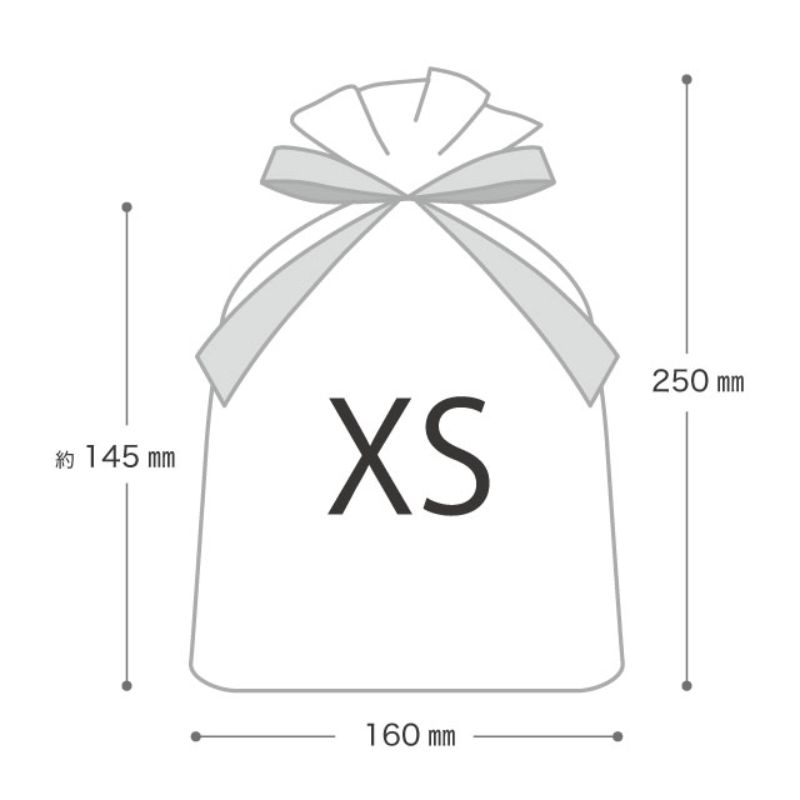 不織布袋 不織布リボン付バッグエンジ-XS(10枚) ヘッズ