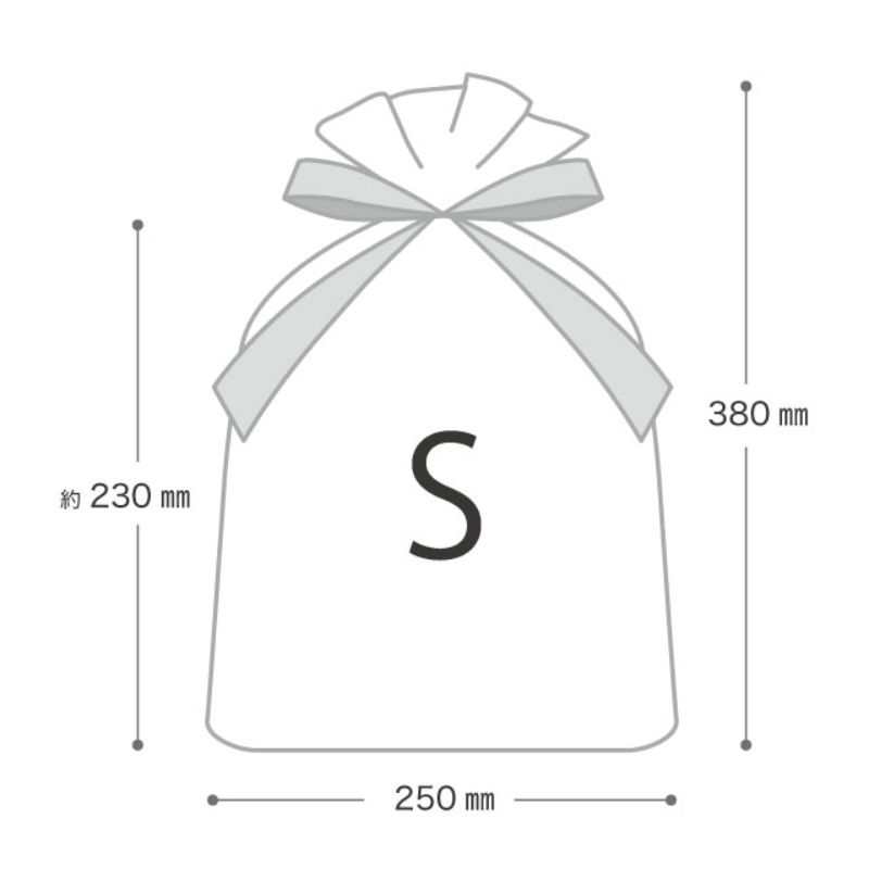 不織布袋 不織布リボン付バッグブラウン-S(10枚) ヘッズ