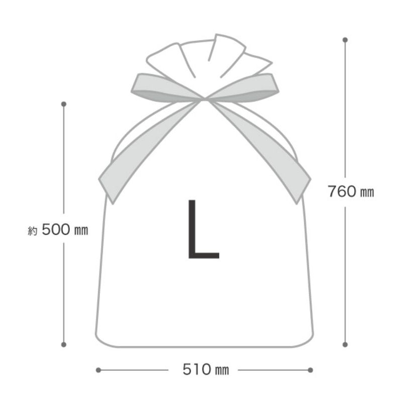 不織布袋 不織布リボン付バッグブラック-L(10枚) ヘッズ