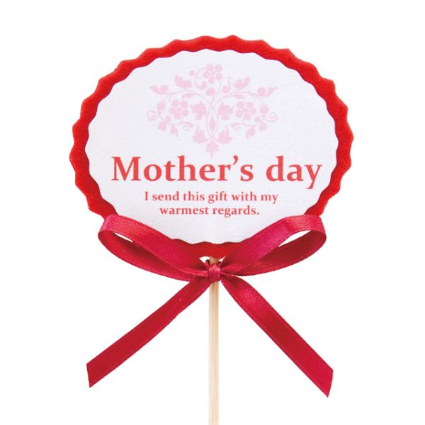 贈答用飾り 母ノ日フラワーピック-17 レッド(20本) ヘッズ