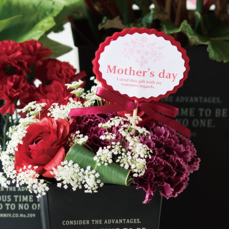 贈答用飾り 母ノ日フラワーピック-17 レッド(20本) ヘッズ