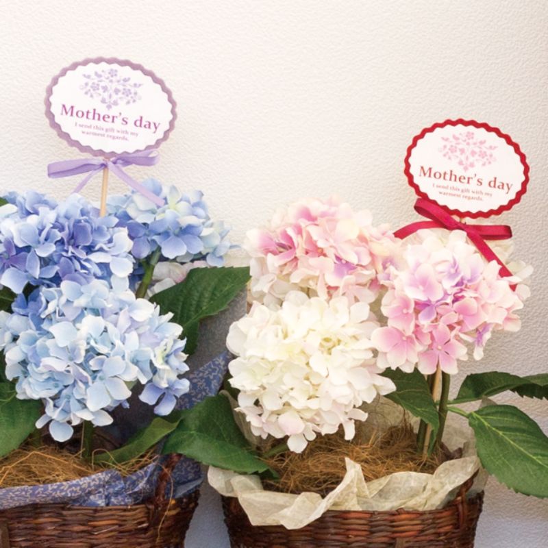 贈答用飾り 母ノ日フラワーピック-17 レッド(20本) ヘッズ