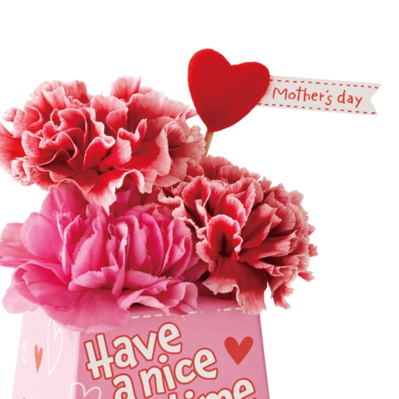 贈答用飾り 母ノ日フラワーピック-2 フェルトハート(30本) ヘッズ