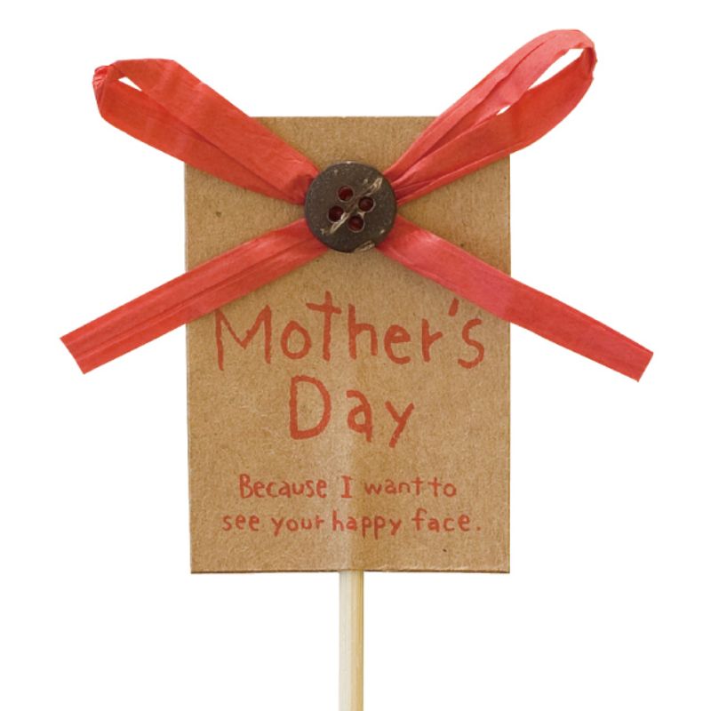 贈答用飾り 母ノ日フラワーピック-3 クラフト(30本) ヘッズ