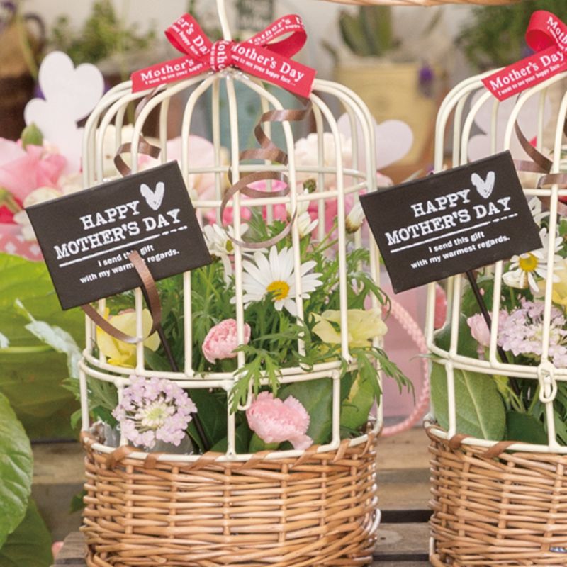 贈答用飾り 母ノ日フラワーピック-36 ブリキ(10本) ヘッズ