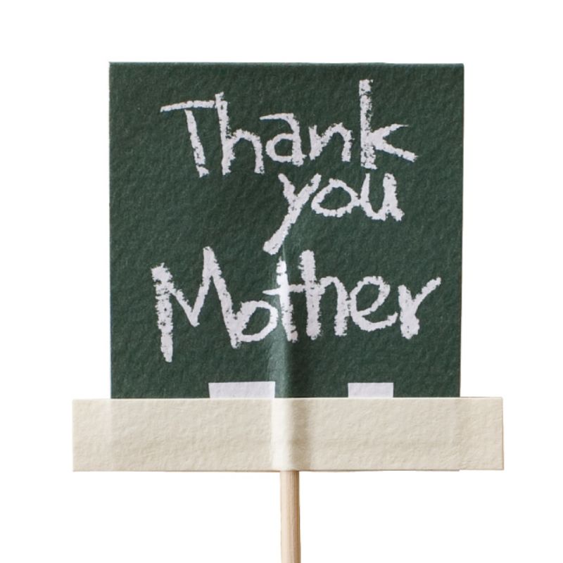 ヘッズ フラワーピック 母ノ日フラワーピック-5 黒板(30本)