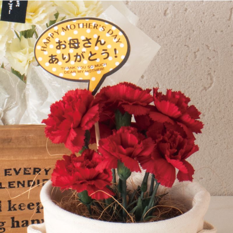 ヘッズ フラワーピック 母ノ日フラワーピック-53 POP(20本)