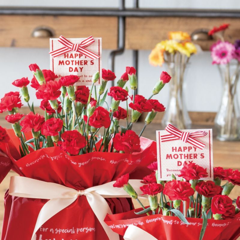 贈答用飾り 母ノ日フラワーピック-59 ボーダーリボン(10本) ヘッズ