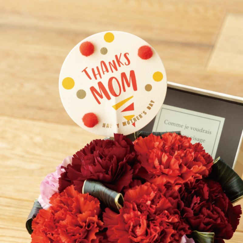 贈答用飾り 母ノ日フラワーピック-63 ポップ(10本) ヘッズ