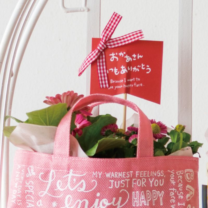 贈答用飾り 母ノ日フラワーピック-7 チェックリボン(20本) ヘッズ