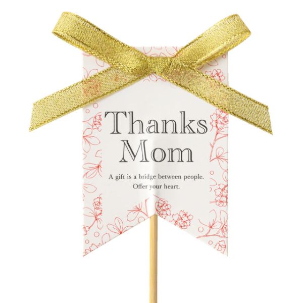 贈答用飾り 母ノ日フラワーピック-75 ボタニカル(10本) ヘッズ