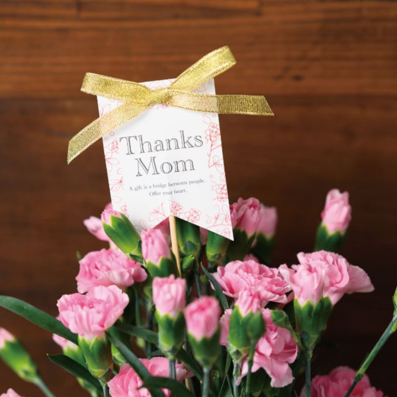 贈答用飾り 母ノ日フラワーピック-75 ボタニカル(10本) ヘッズ