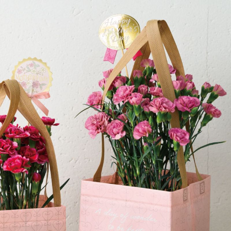 贈答用飾り 母ノ日フラワーピック-76 ゴールド(10本) ヘッズ