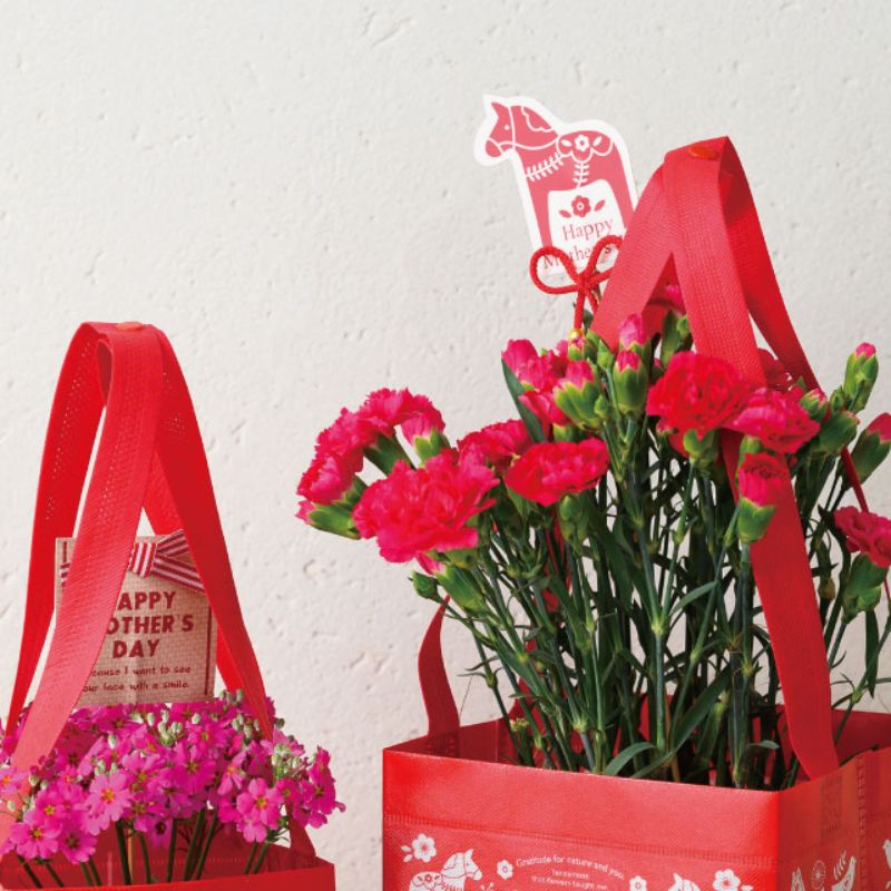 贈答用飾り 母ノ日フラワーピック-77 ホース(10本) ヘッズ