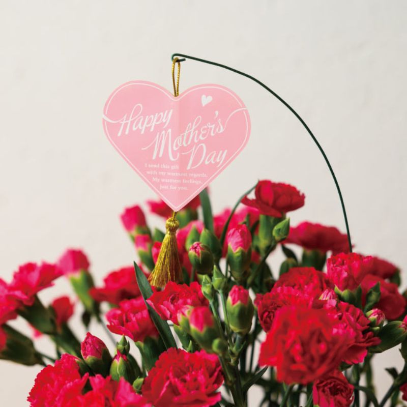 贈答用飾り 母ノ日フラワーピック-79 タッセルハート(10本) ヘッズ