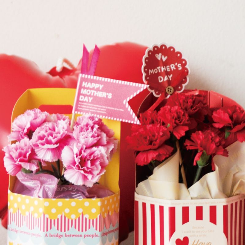 贈答用飾り 母ノ日フラワーピック-9 ビスケット(30本) ヘッズ