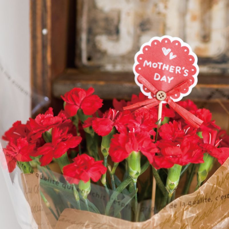 贈答用飾り 母ノ日フラワーピック-9 ビスケット(30本) ヘッズ