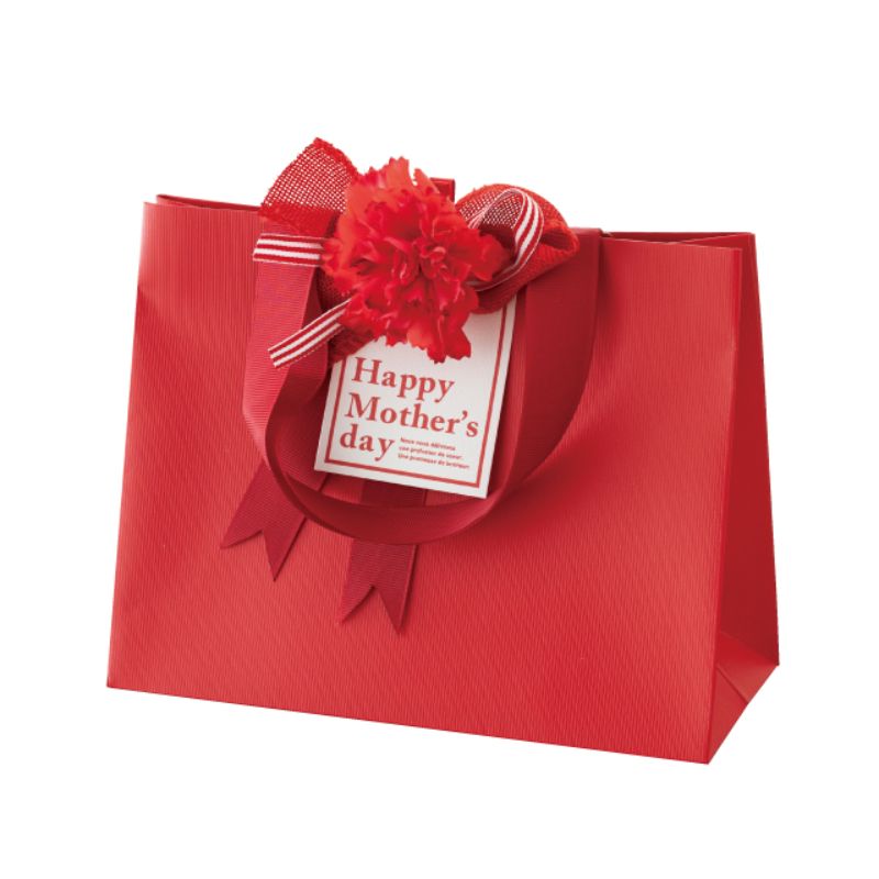 贈答用飾り 母ノ日フルリールクリップ付-1(10個) ヘッズ