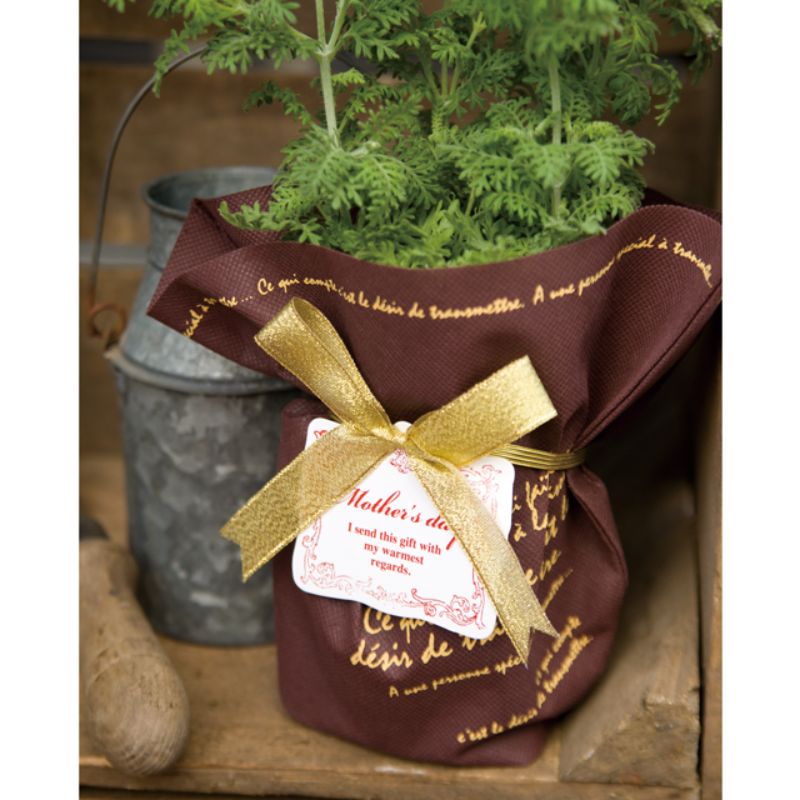 贈答用飾り 母ノ日ワンタッチタッグ付ゴムリボン-4 金(20個) ヘッズ