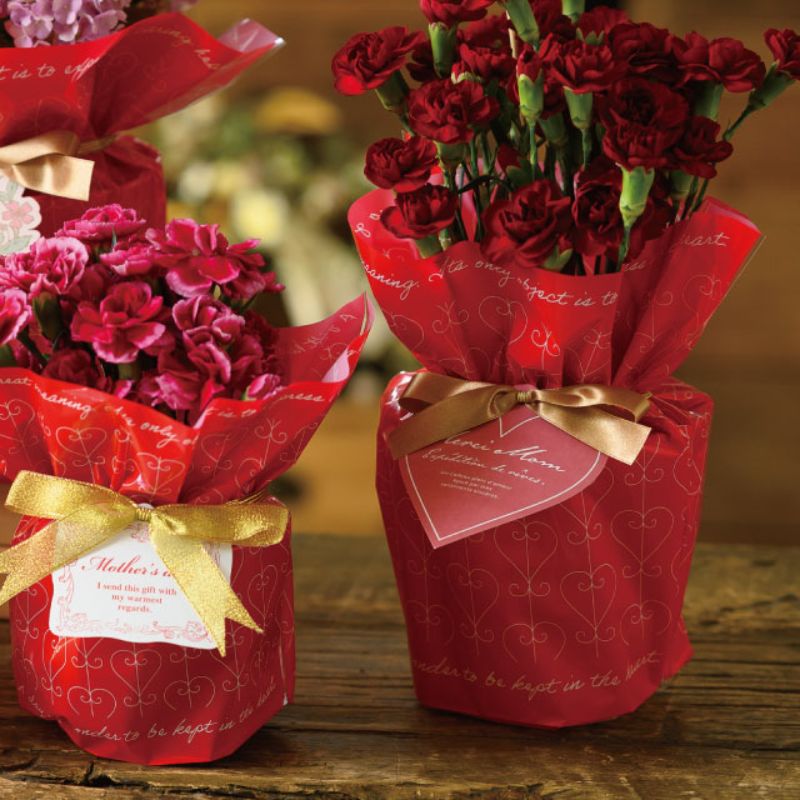 贈答用飾り 母ノ日ワンタッチタッグ付ゴムリボン-6(20個) ヘッズ