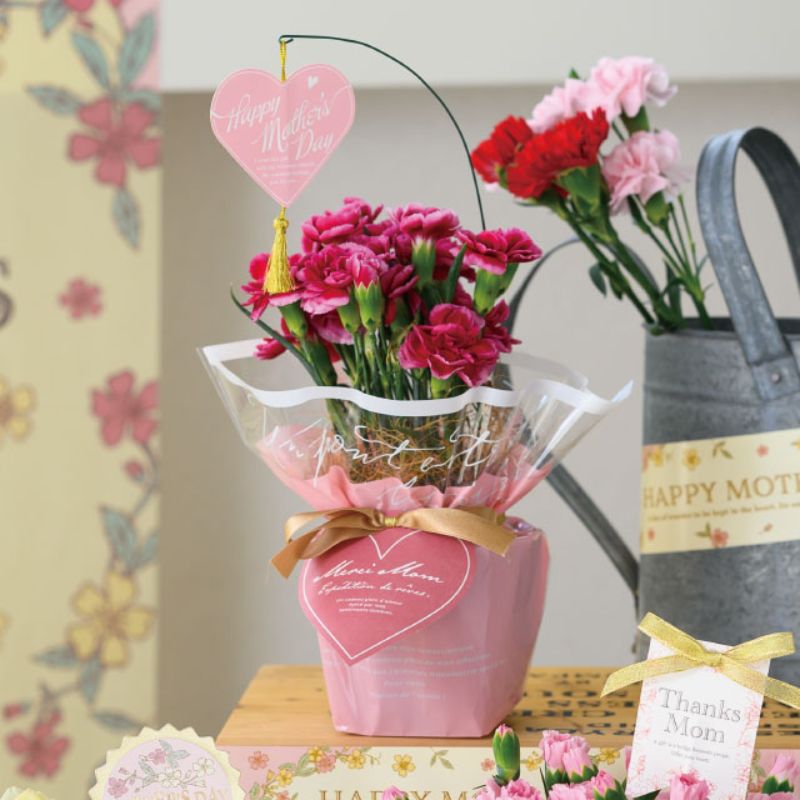 贈答用飾り 母ノ日ワンタッチタッグ付ゴムリボン-6(20個) ヘッズ