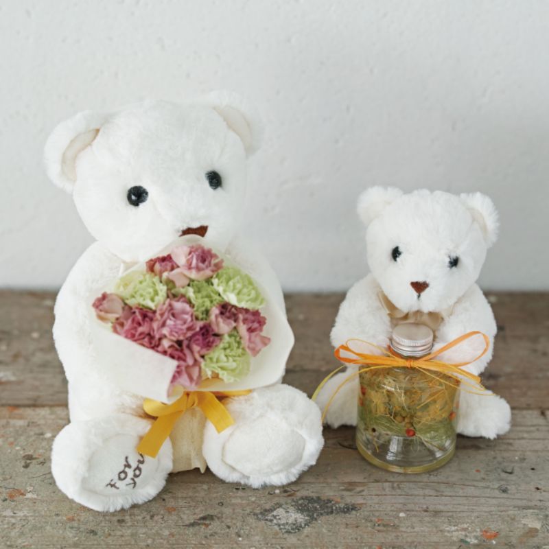 ヘッズ ぬいぐるみ 抱キツキアニマル クマノナッツ-S(4個)