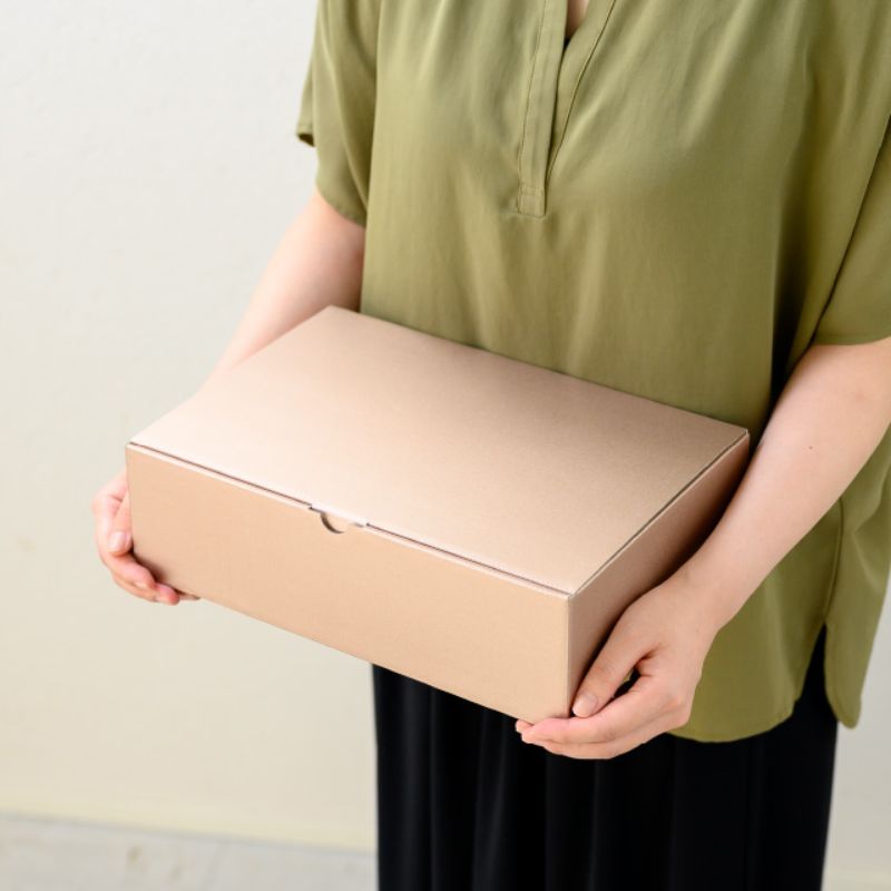 ギフト箱 無地シャンパンピンクギフトボックス-1(10枚) ヘッズ