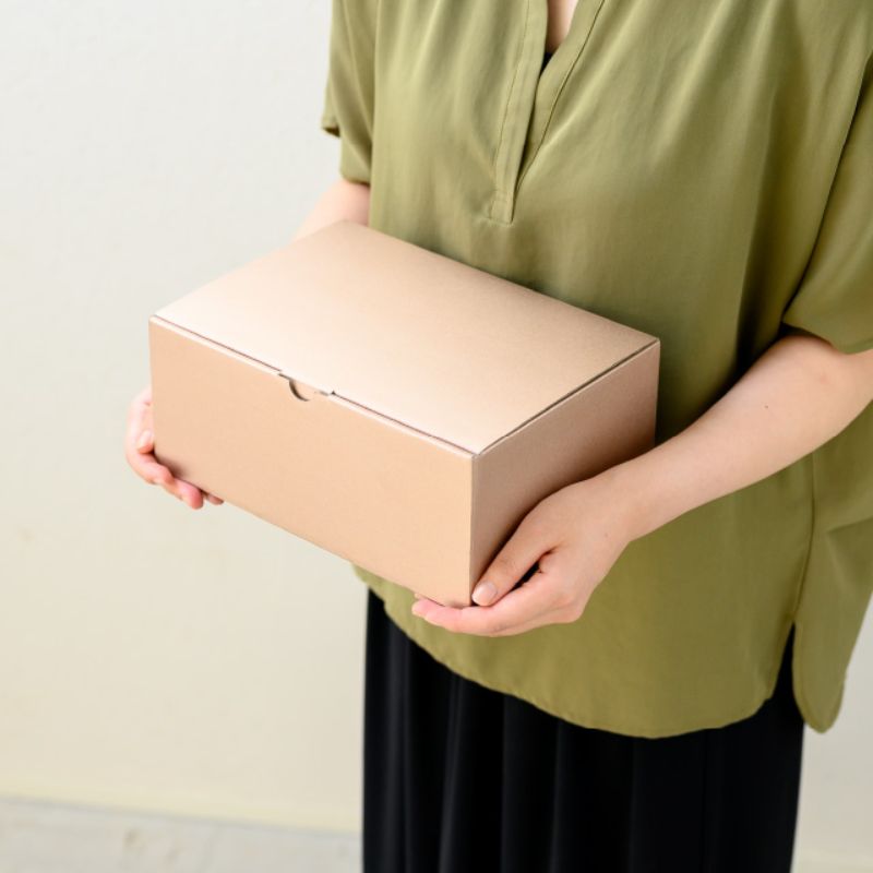 ギフト箱 無地シャンパンピンクギフトボックス-2(10枚) ヘッズ
