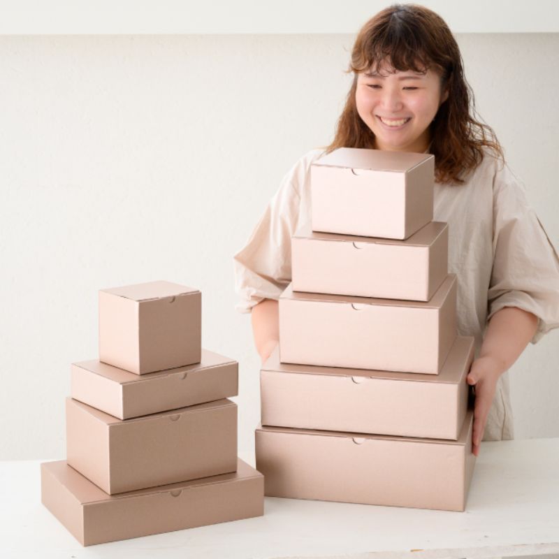 ギフト箱 無地シャンパンピンクギフトボックス-4(10枚) ヘッズ