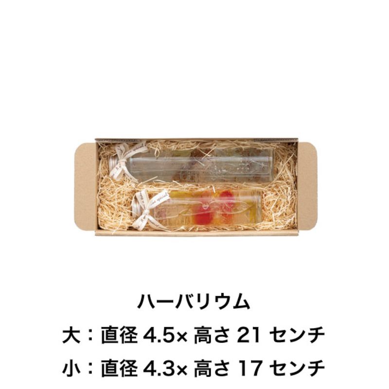 ギフト箱 無地スマートボックス クラフト-11(10枚) ヘッズ