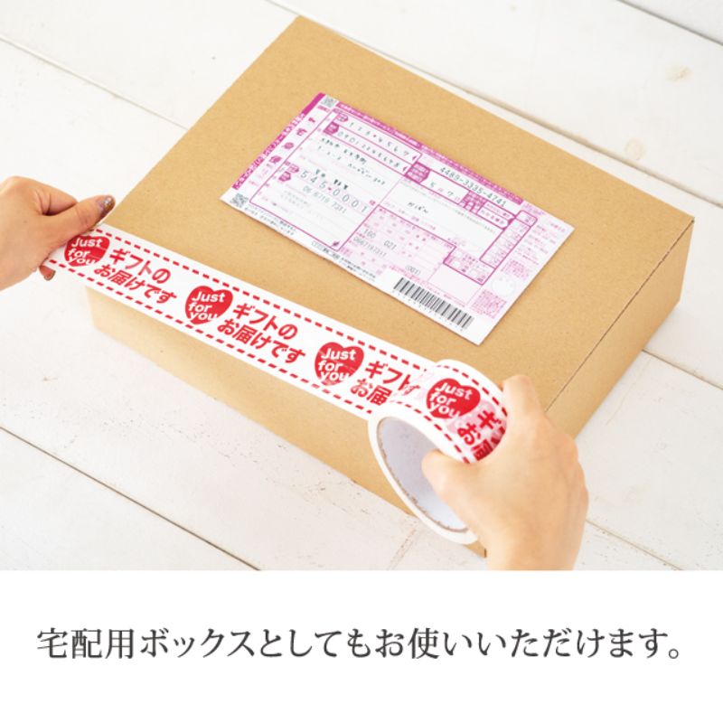 ギフト箱 無地スマートボックス クラフト-13(10枚) ヘッズ