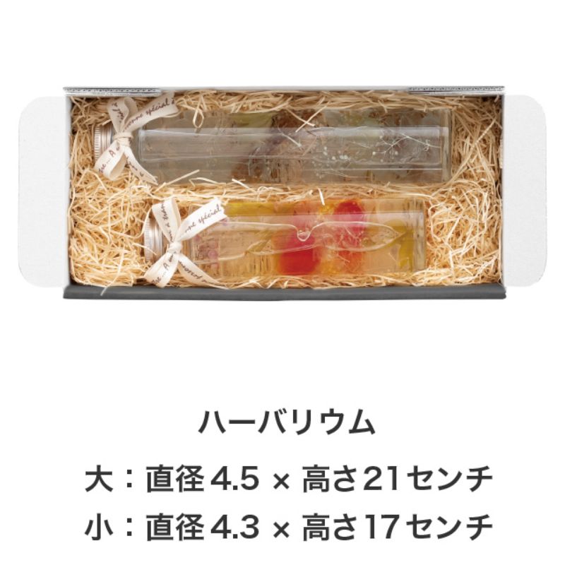 ギフト箱 無地スマートボックス ダークグレー-11(10枚) ヘッズ