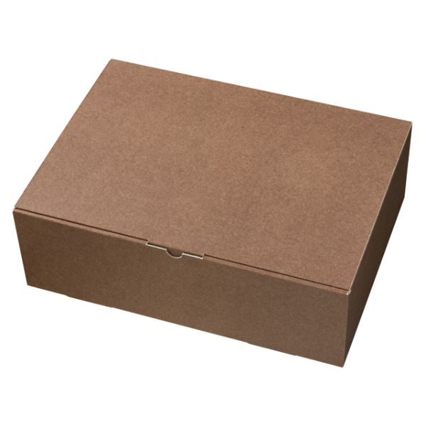 ギフト箱 無地ブラウンギフトボックス-XL(10枚) ヘッズ