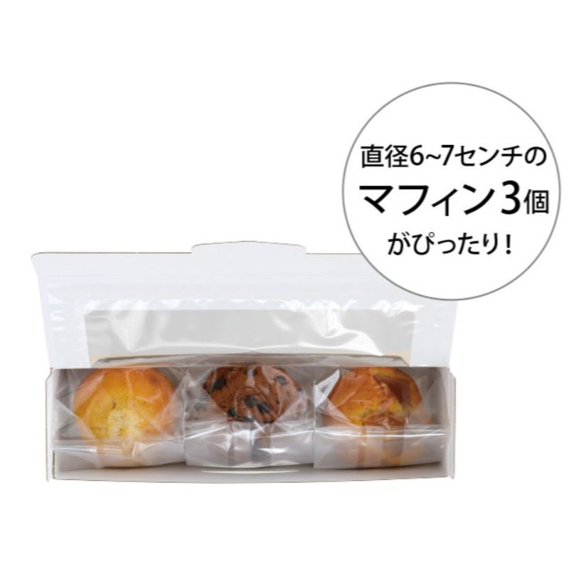 ギフト箱 無地窓付ギフトボックス アイボリー-SW(10枚) ヘッズ