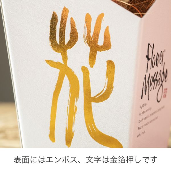 ヘッズ ギフトボックス 和風フラワーメッセージペーパーボックス-L(10枚) WAF-PAL