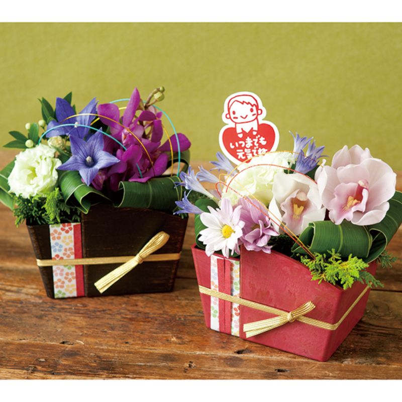 ヘッズ 花器 和風ポット アカ(6個)