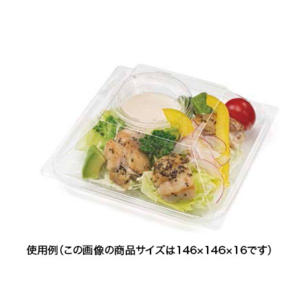 惣菜容器 バイオ リファイン 13-16B リスパック