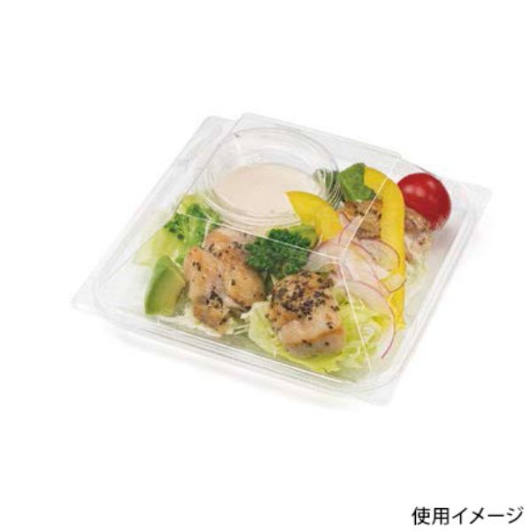 惣菜容器 バイオ リファイン 15-16B リスパック