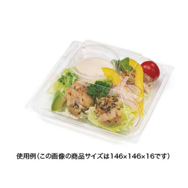 惣菜容器 バイオ リファイン 15-25B リスパック