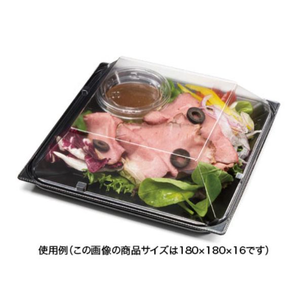 惣菜容器 バイオ リファイン 20-25B 黒 リスパック
