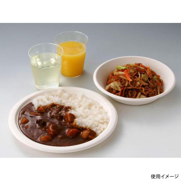 パルプモールド 環境良品ボール 19cm 5枚入 アートナップ